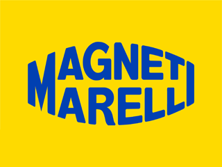 Checkstar Magnet Marelli
